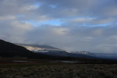 DSC_2943 (Large).JPG